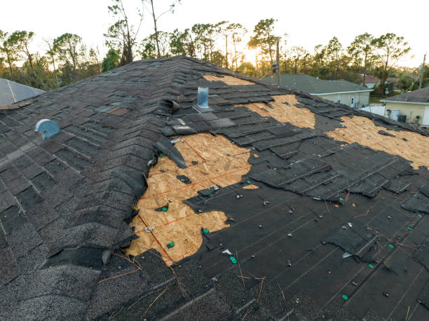 Trusted Laurel Park, NC Roofing Service  Experts